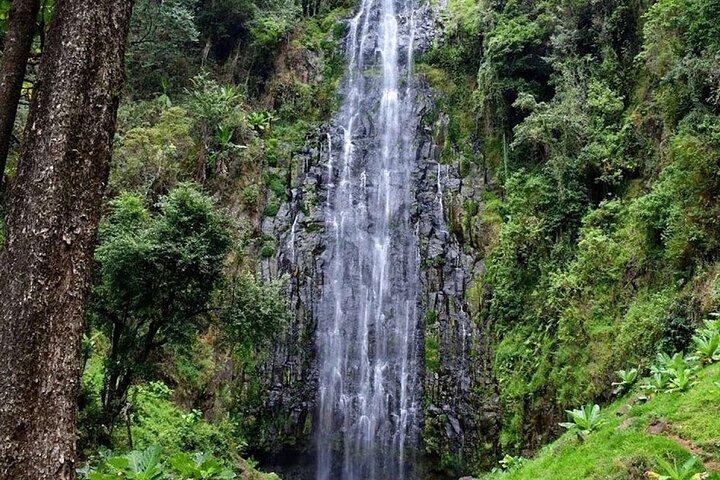 1 Day trip to Materuni Waterfalls & Coffee Tour