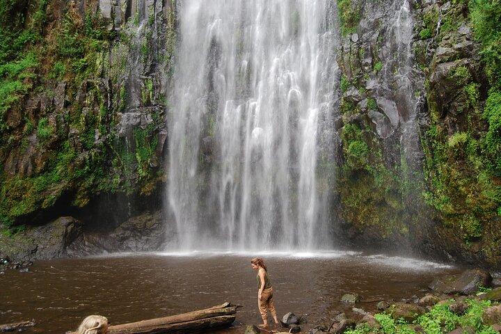 1 Day trip to Materuni Waterfalls & Coffee Tour