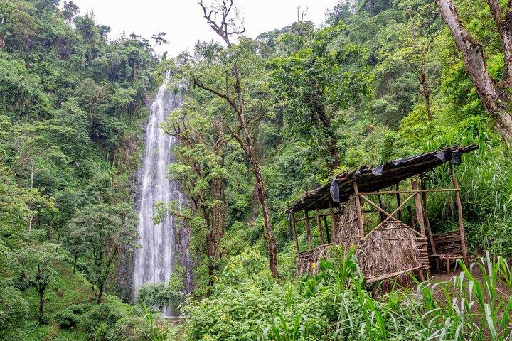 1 Day trip to Materuni Waterfalls & Coffee Tour