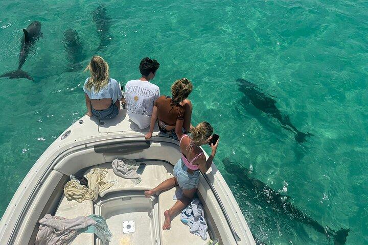 Dolphin Watching and Snorkeling Key West