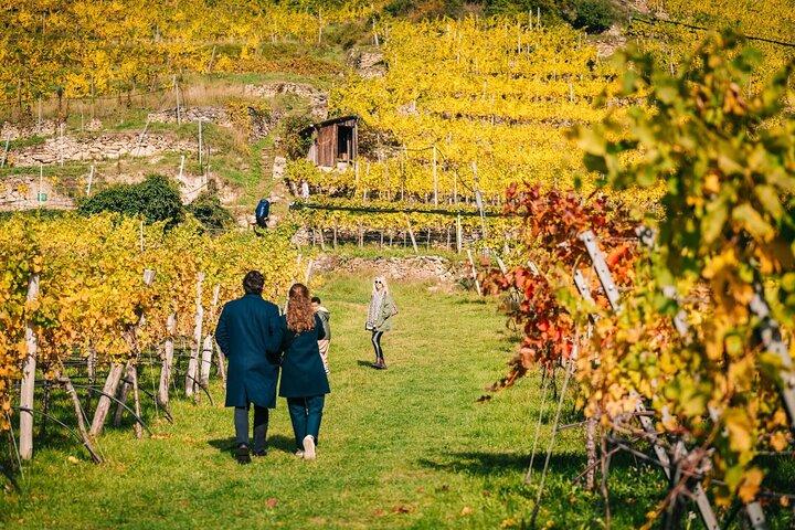 Wachau Valley Private Wine Tour with Tasting and Gourmet Lunch