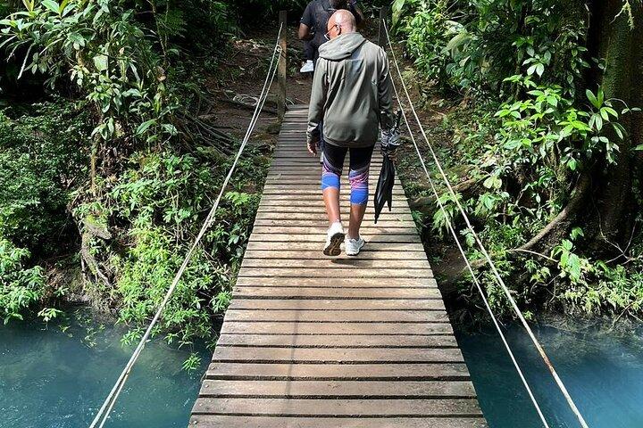 Hike to Río Celeste Waterfall in Tenorio Volcano National Park