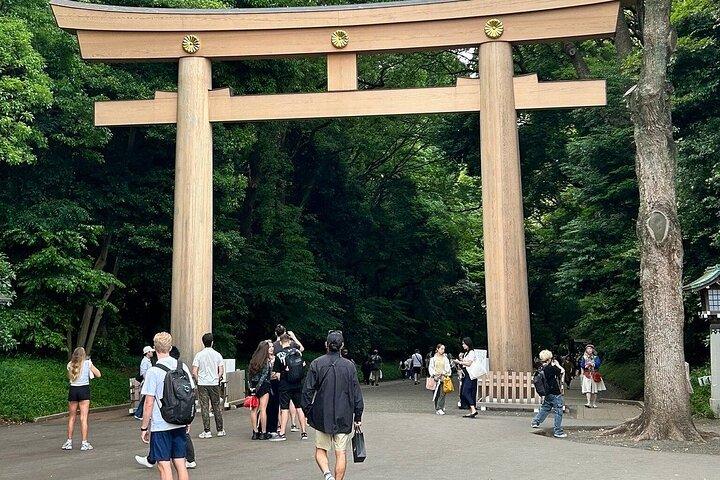 Tokyo Private Sightseeing Tour from Yokohama with Airport Dropoff