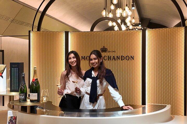 Full day Moet and Chandon family grower in Reims or Epernay