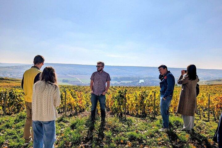 Full day Moet and Chandon family grower in Reims or Epernay