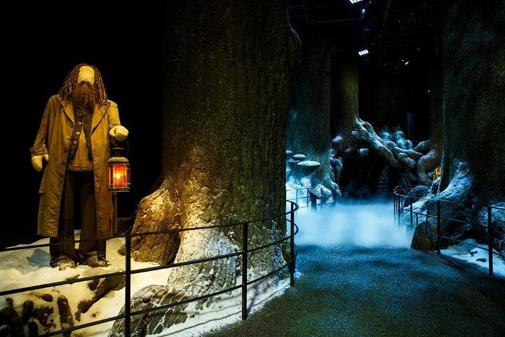 Warner Bros. Studio Tour with Transportation from London