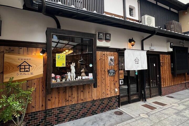 Private Tea Ceremony at Kyoto Cat Sanctuary – Ethical Retreat