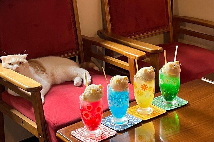 Private Tea Ceremony at Kyoto Cat Sanctuary – Ethical Retreat