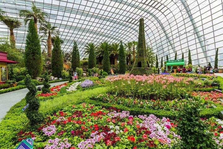 Gardens by the Bay Flower Dome and Cloud Forest Entry Ticket