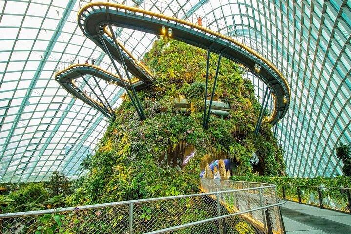 Gardens by the Bay Flower Dome and Cloud Forest Entry Ticket