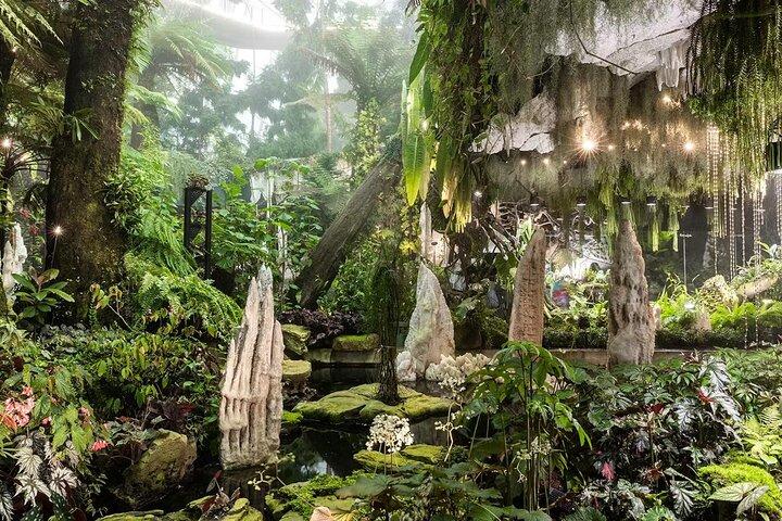Gardens by the Bay Flower Dome and Cloud Forest Entry Ticket