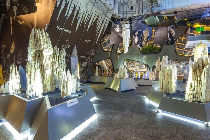 Gardens by the Bay Flower Dome and Cloud Forest Entry Ticket