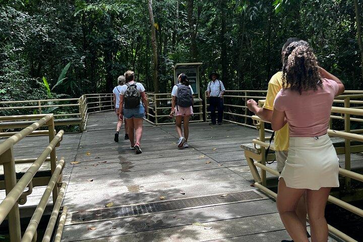 Manuel Antonio Beach & National Park Day Tour from San José