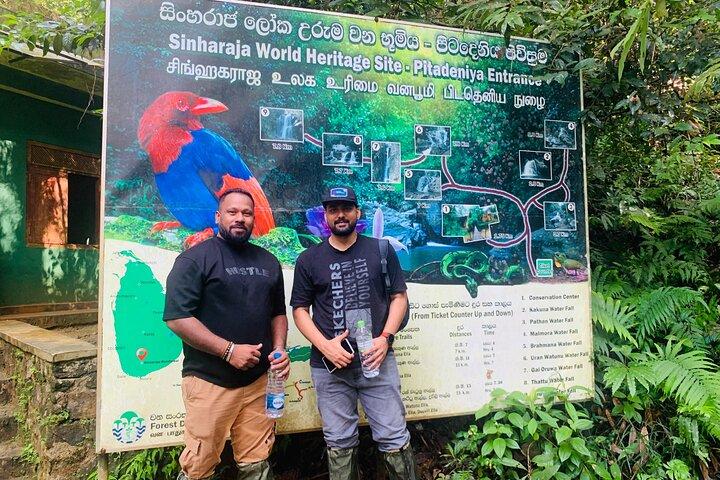 Sinharaja Rain Forest Guided Day Tour