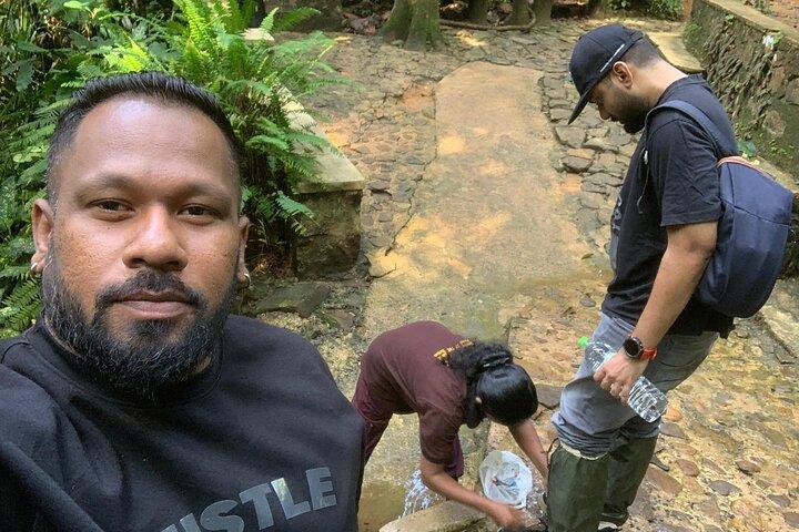 Sinharaja Rain Forest Guided Day Tour