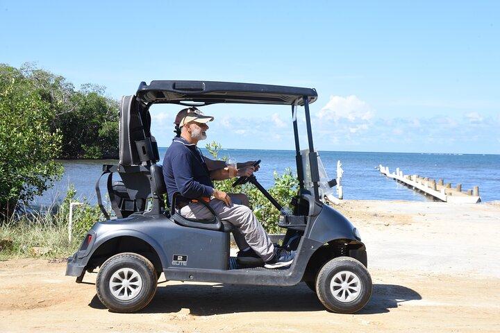 Roatan Sloths, Golf Cart Adventure & Private Beach Lunch & Drinks