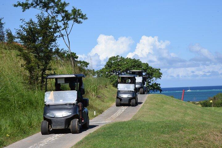 Roatan Sloths, Golf Cart Adventure & Private Beach Lunch & Drinks