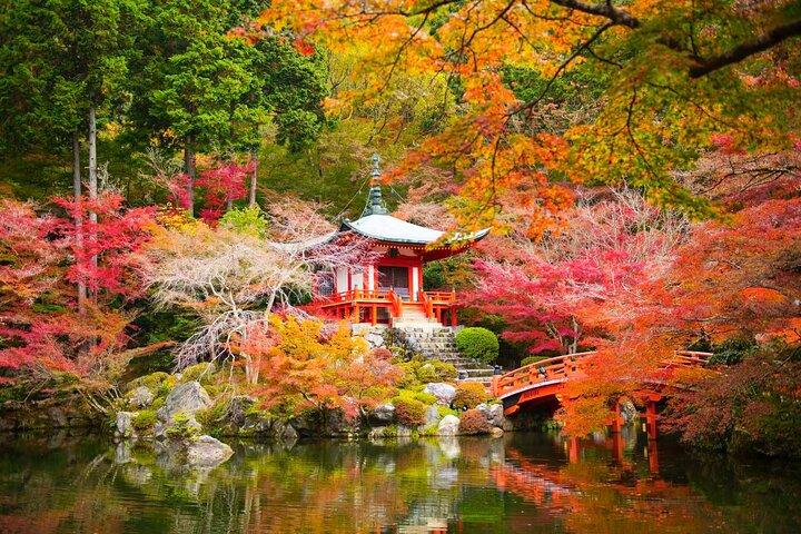 Osaka, Kyoto or Nara one day Private Charter car service