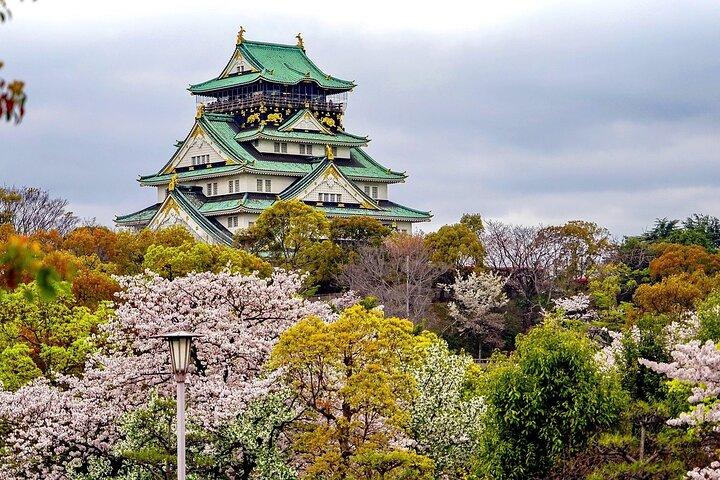 Osaka, Kyoto or Nara one day Private Charter car service