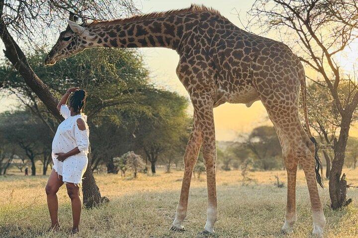 Serval Wildlife Sanctuary Half-Day Tour from Moshi