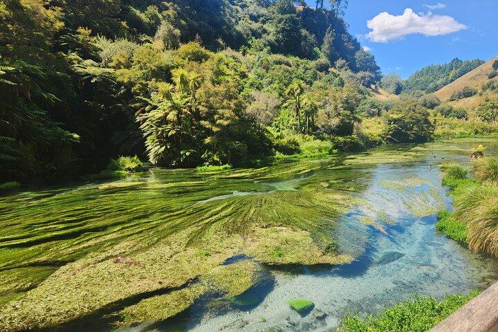 Rotorua: WaiOtapu & Redwood forest & Blues springs from Auckland