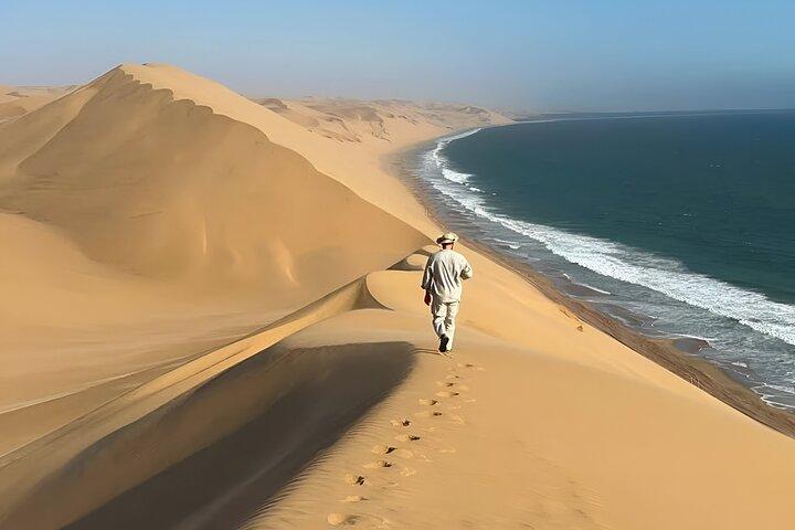 Doha Quad Bike, Dune Bashing, Camel Ride and Inland Sea Tour
