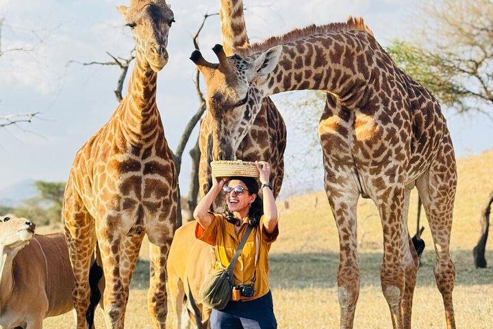 Full Day Serval Wildlife Sanctuary and Hot Springs Tour
