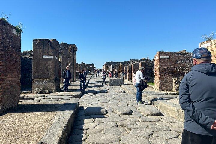 Pompeii Small Group Archaeologist Guided Tour