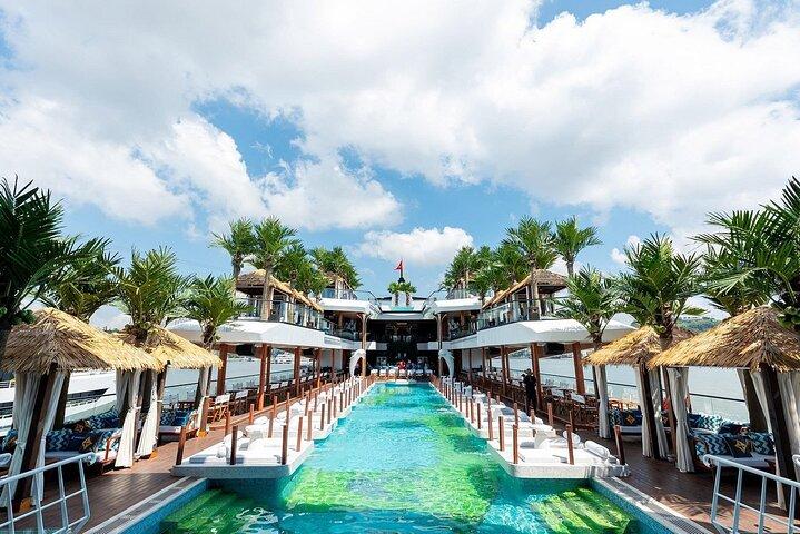 Ha Long Bay Dolphin Cruise: Premier Modern Luxury Day Experience