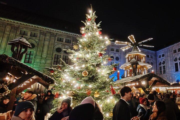 Neuschwanstein Castle incl. Munich Xmas Market walking tour