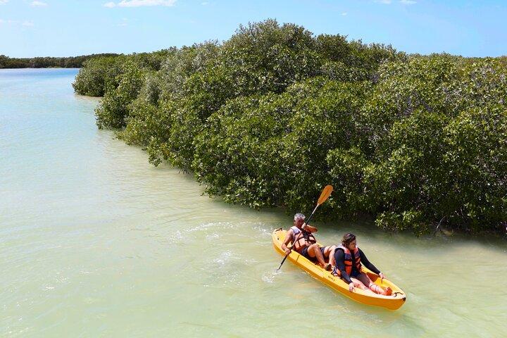 Sisal Mangroves Tour with Beach Visit and Local Experience
