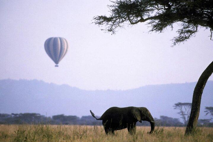 Serengeti Safari Adventure to Witness the Great Migration