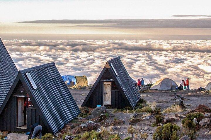 Kilimanjaro National Park Minivan Private Tour