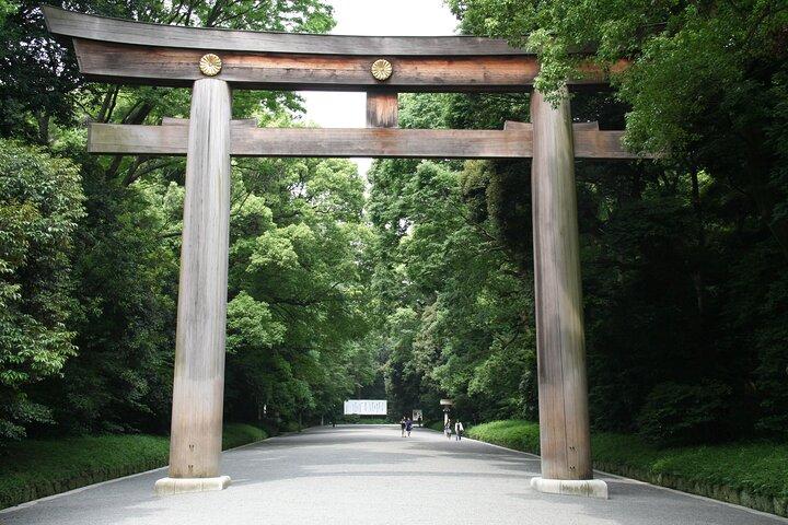 Tokyo Private Tour with a Local Guide