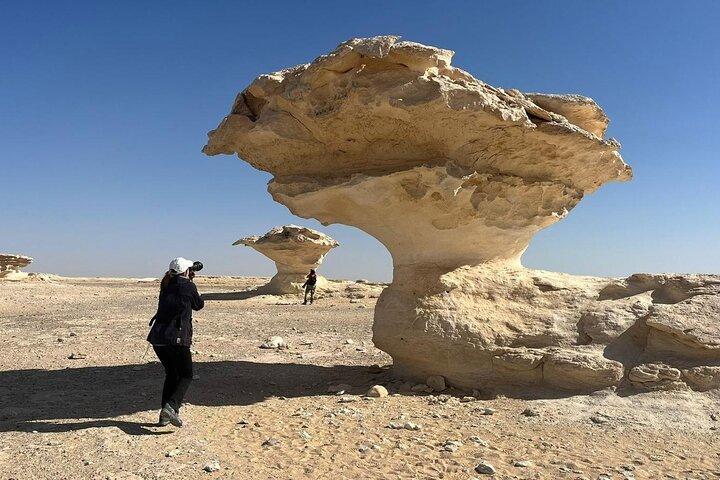 2 Day tour to the White Desert and Bahariya Oasis from Cairo