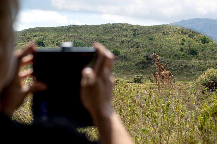Day Safari to Arusha National Park in ‘Little Red Rover’