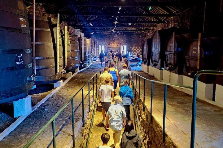 Porto: Port and Douro Wine Walking Tour With 9 Wine Tastings