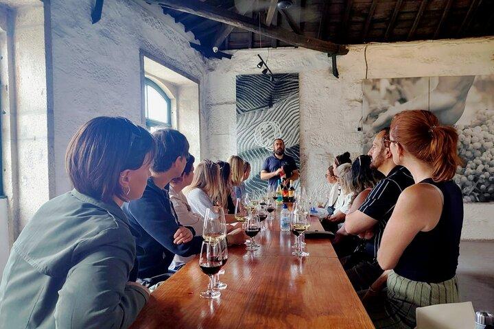 Porto: Port and Douro Wine Walking Tour With 9 Wine Tastings