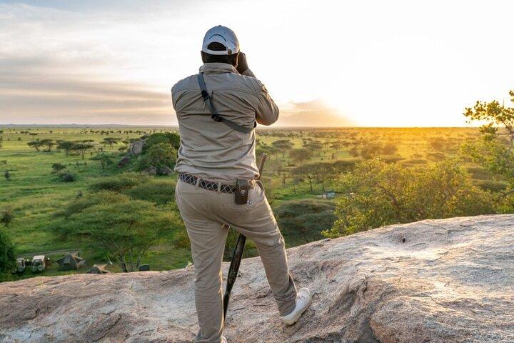 5 Day Mid Range Balloon Safari Tarangire, Ngorongoro & Serengeti