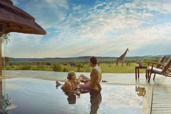 5 Days Safari Tarangire,Ngorongoro and Serengeti Royal Experience