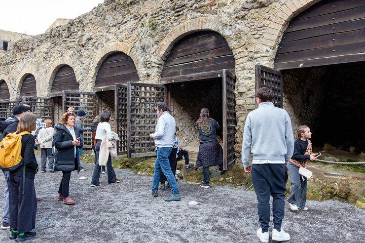 Walking Tour of Herculaneum with Local Guide