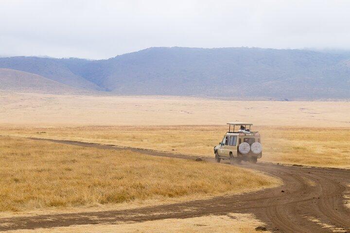 2-Day Private Tarangire and Ngorongoro Safari