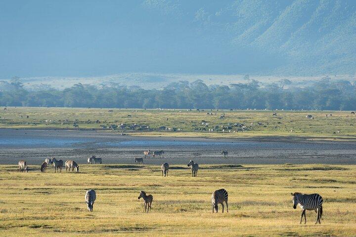 2-Day Private Tarangire and Ngorongoro Safari