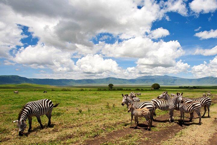 2-Day Private Tarangire and Ngorongoro Safari