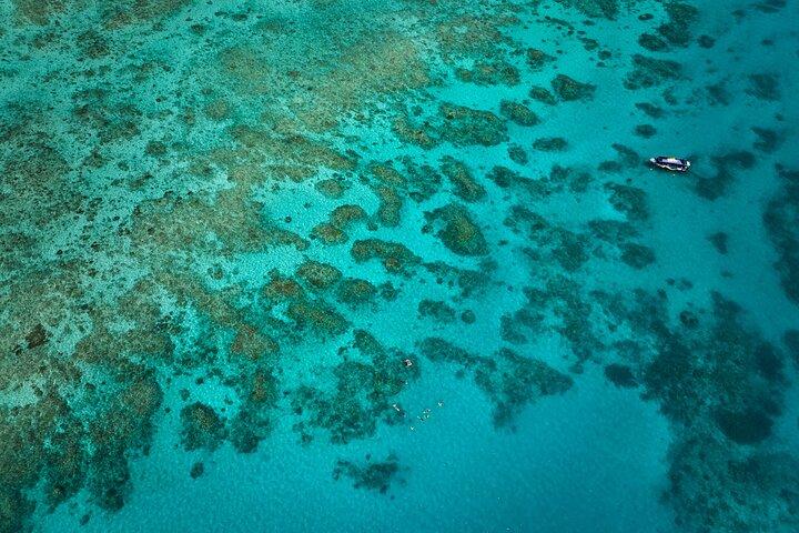 Cairns Great Barrier Reef Snorkel and Flight Adventure