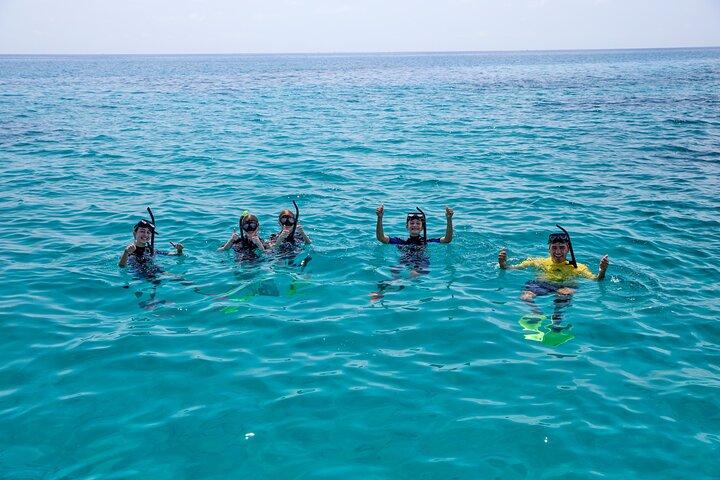 Cairns Great Barrier Reef Snorkel and Flight Adventure