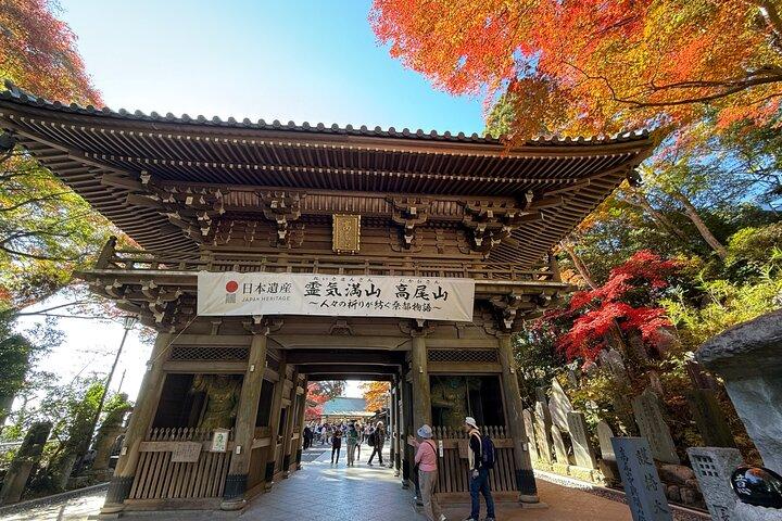 Mt Takao Hike & Onsen by Train from Shinjuku with Ex-JR Conductor