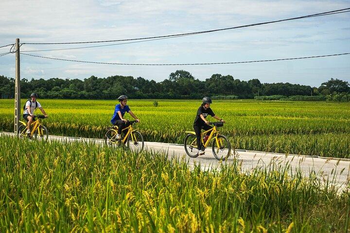 Hanoi Countryside Bicycle Tour: Ancient Citadel Day Trip