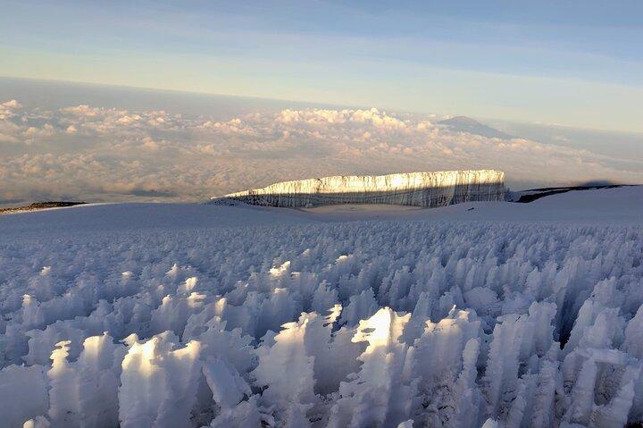 8 Days Hike Kilimanjaro through Lemosho Route