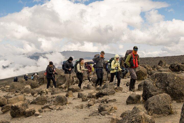 8 Days Hike Kilimanjaro through Lemosho Route